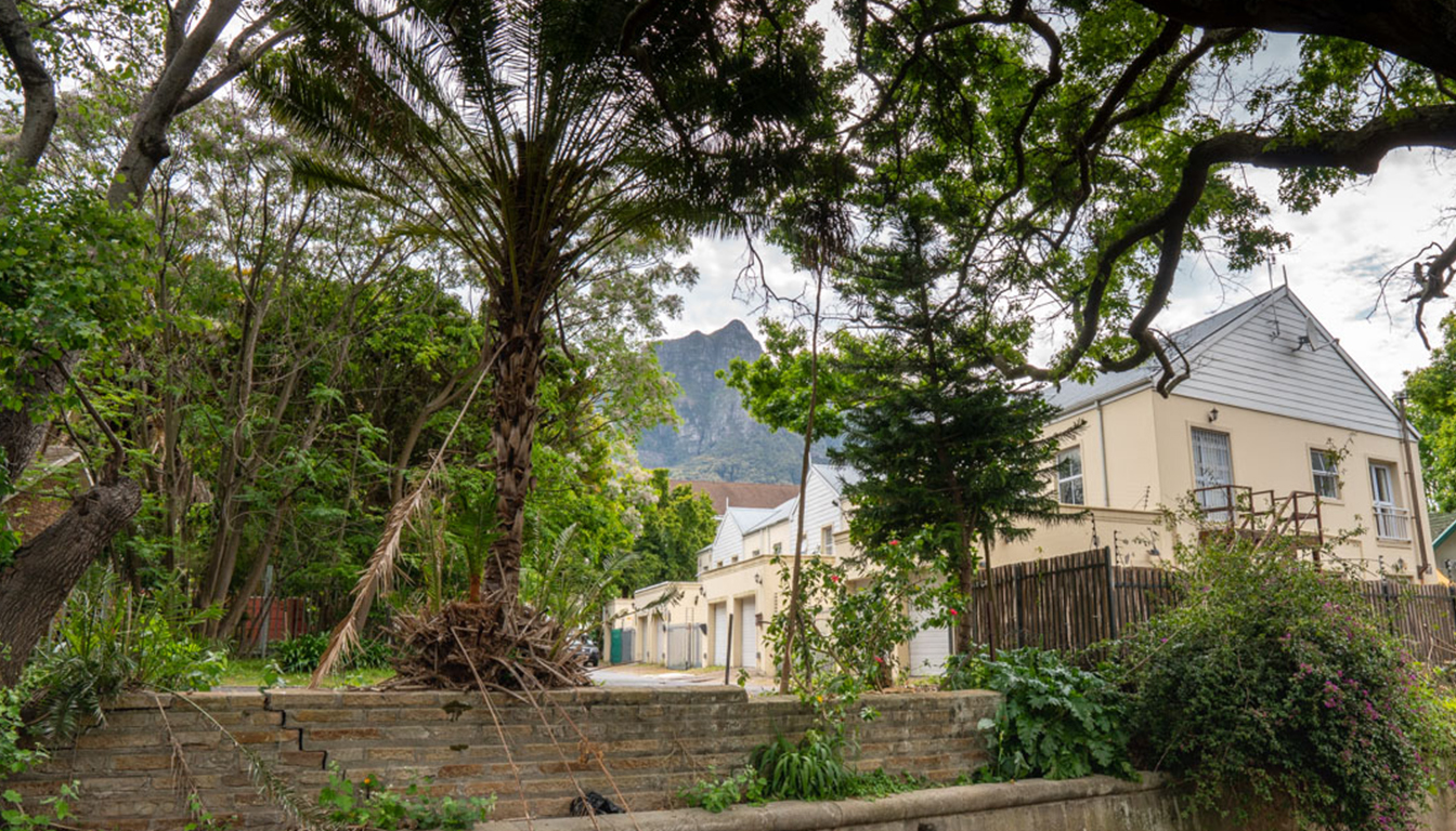 PetalsAndLight (1) PetalsAndLight (1)