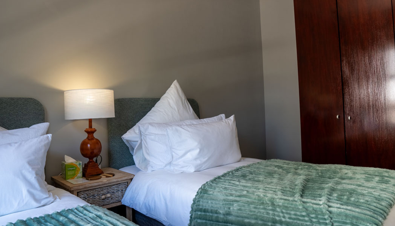 PetalsAndLight (16) PetalsAndLight (16)