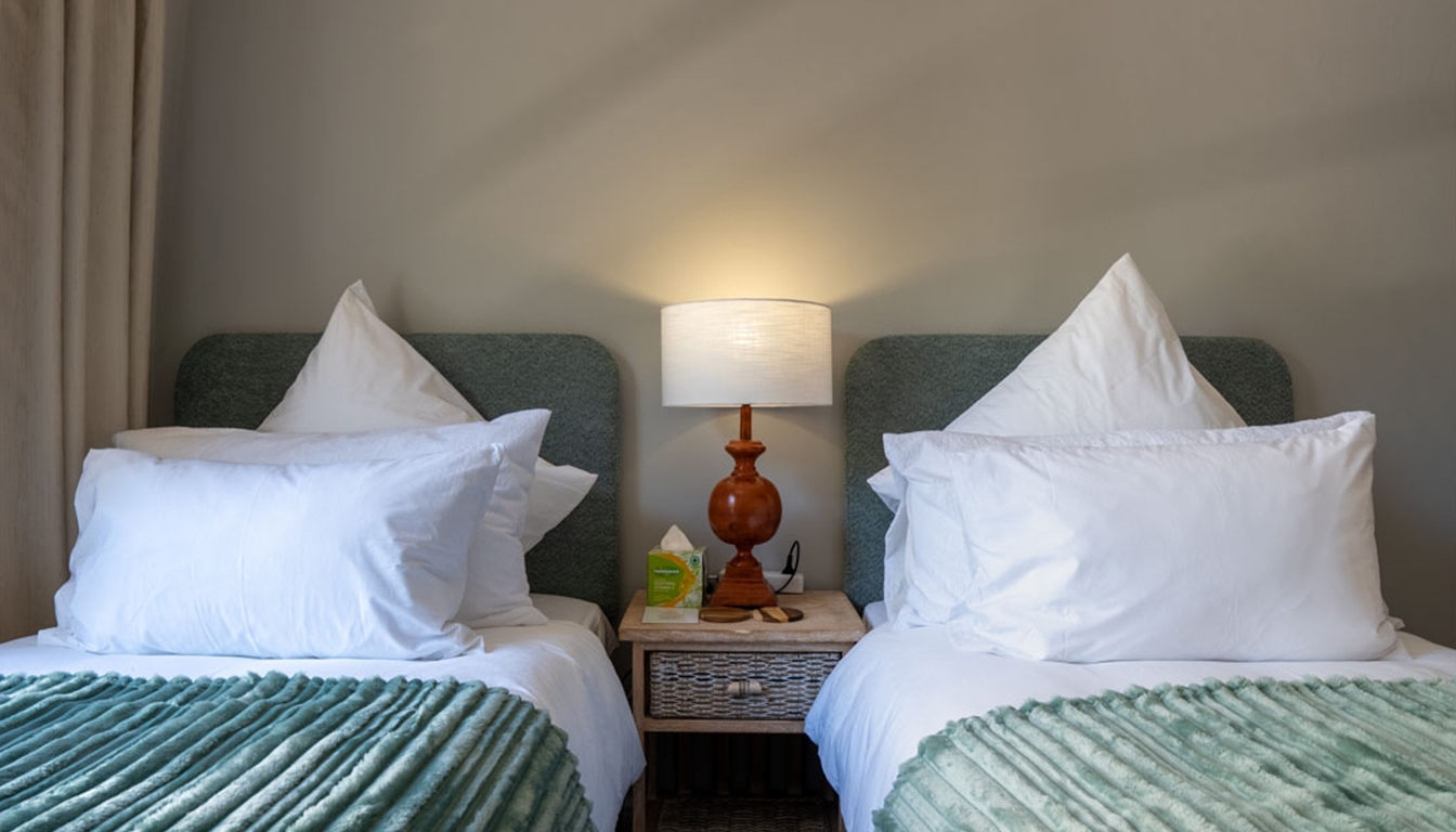 PetalsAndLight (17) PetalsAndLight (17)