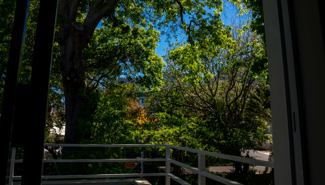 PetalsAndLight (2) PetalsAndLight (2)