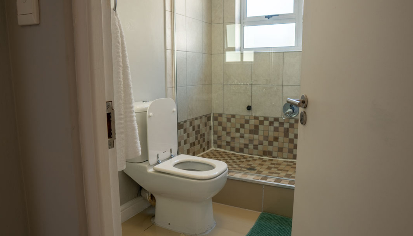 PetalsAndLight (20) PetalsAndLight (20)