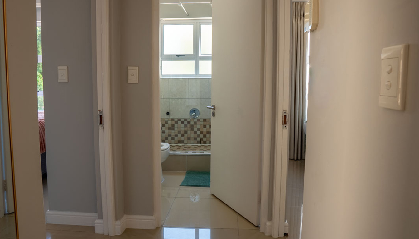 PetalsAndLight (22) PetalsAndLight (22)