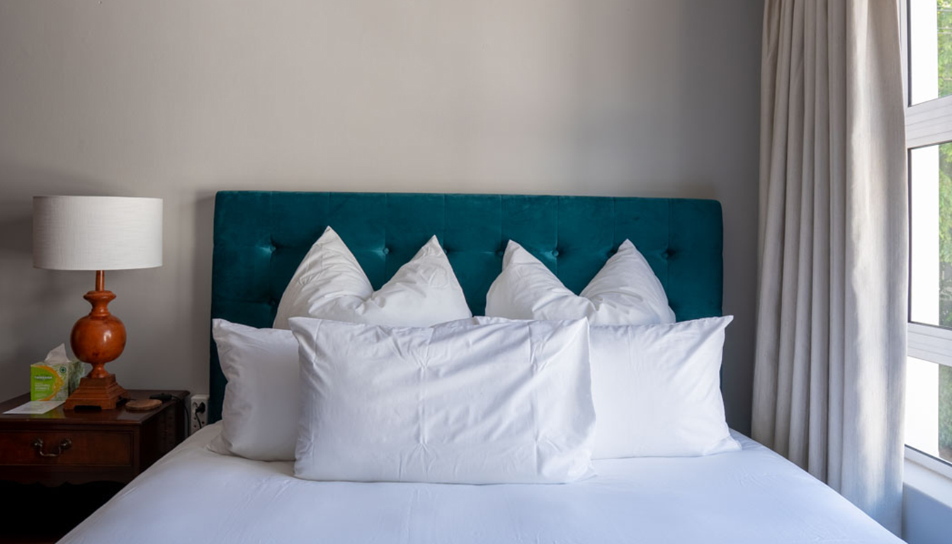 PetalsAndLight (24) PetalsAndLight (24)