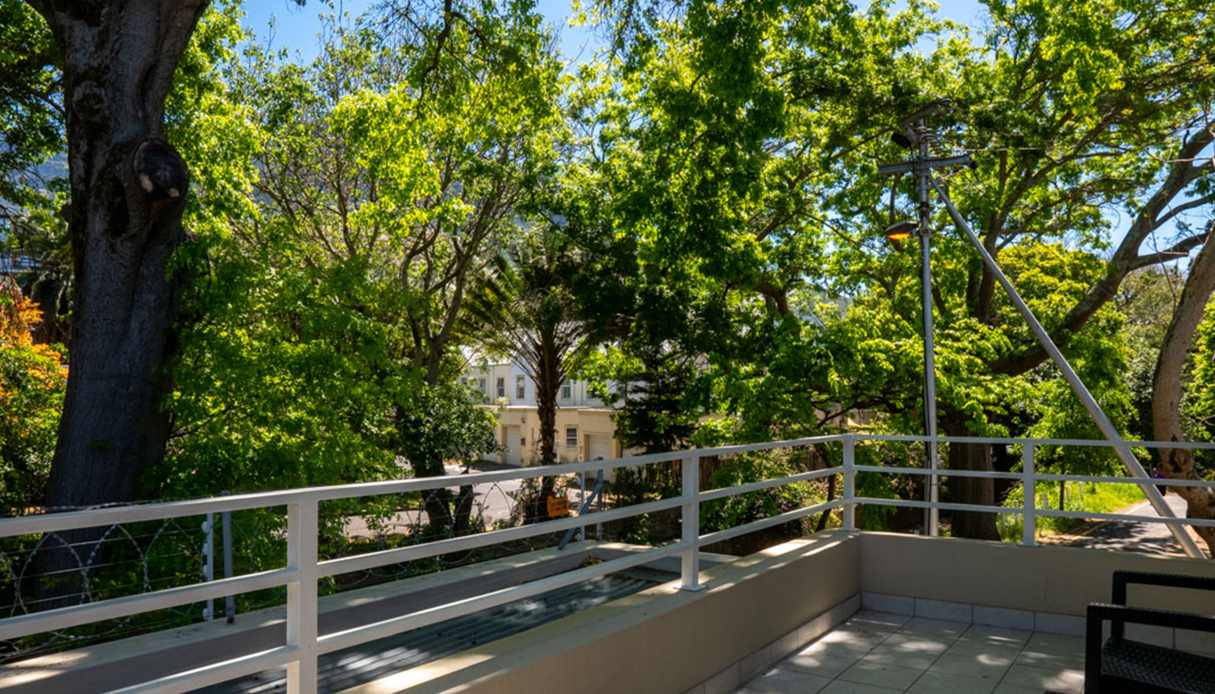 PetalsAndLight (3) PetalsAndLight (3)