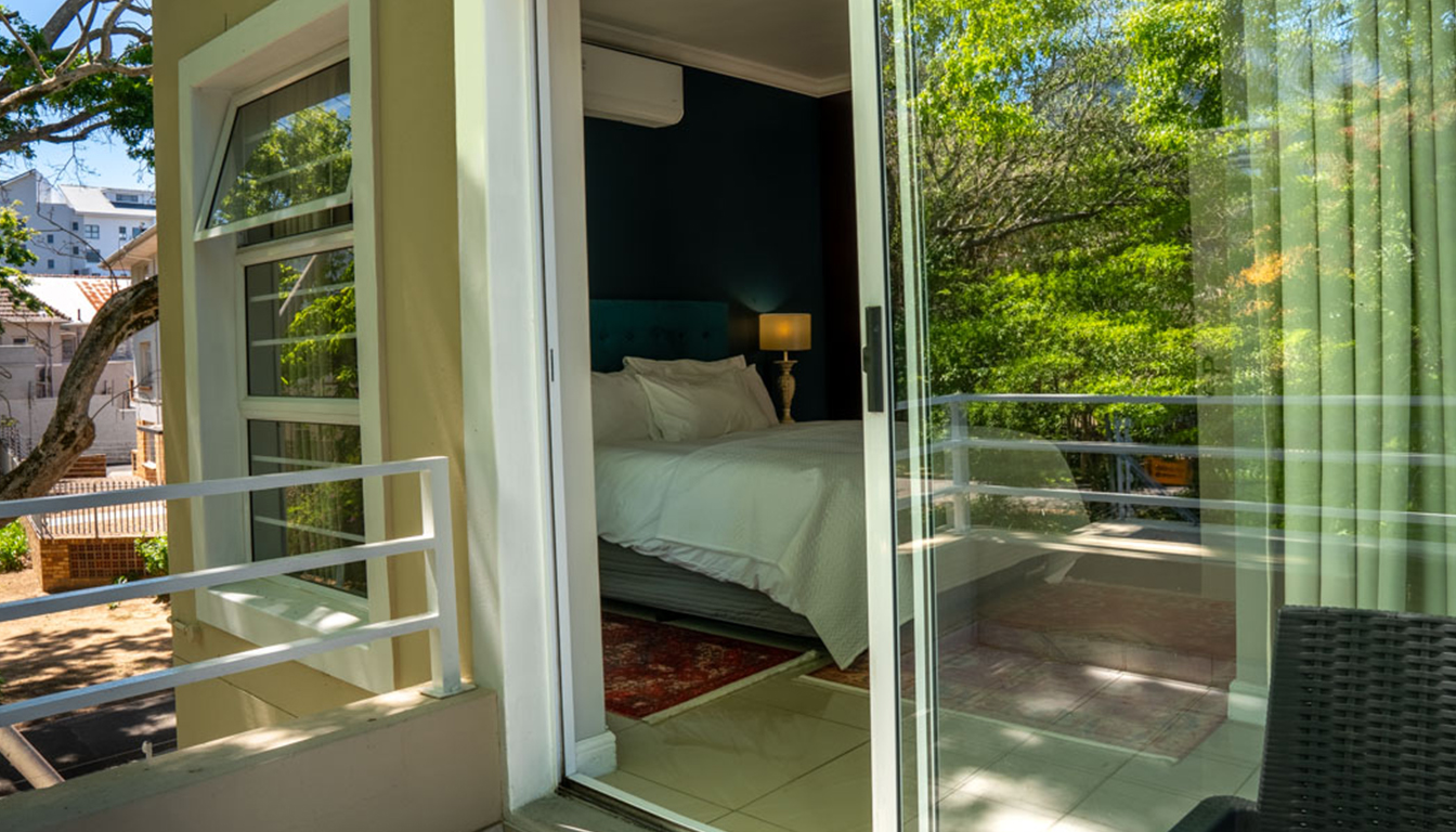 PetalsAndLight (4) PetalsAndLight (4)