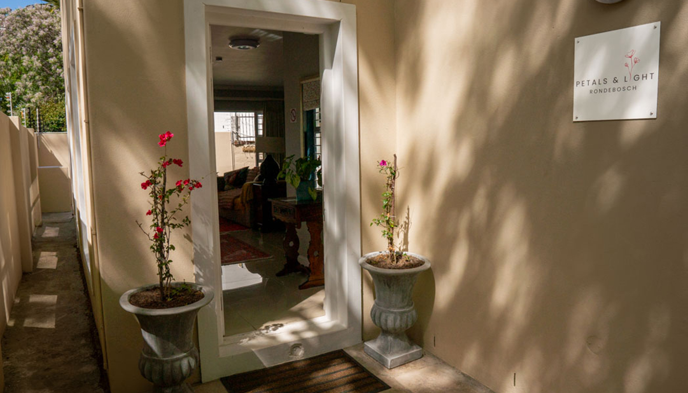 PetalsAndLight (46) PetalsAndLight (46)