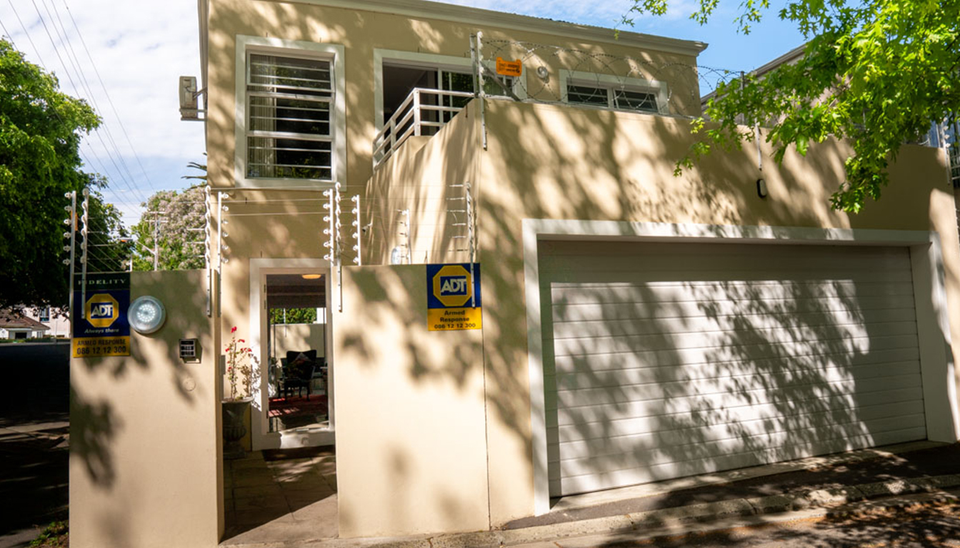 PetalsAndLight (47) PetalsAndLight (47)