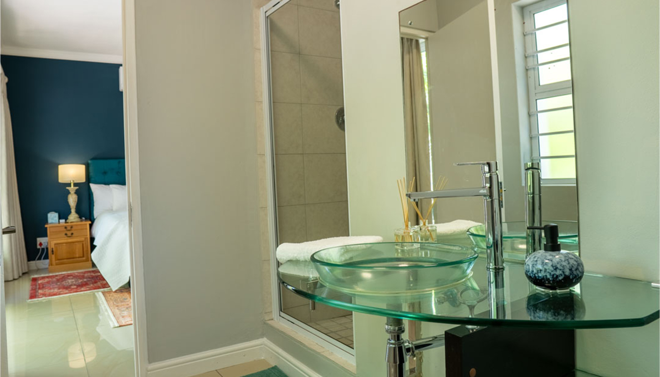 PetalsAndLight (7) PetalsAndLight (7)