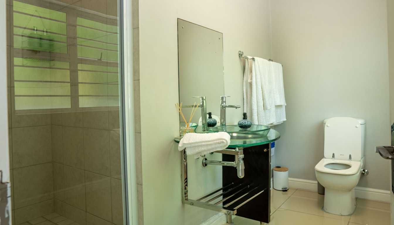 PetalsAndLight (8) PetalsAndLight (8)